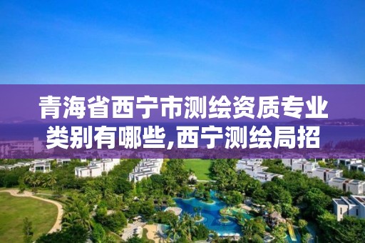 青海省西宁市测绘资质专业类别有哪些,西宁测绘局招聘