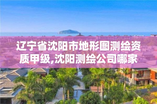 辽宁省沈阳市地形图测绘资质甲级,沈阳测绘公司哪家强哪家好。