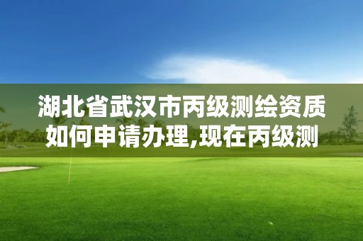 湖北省武汉市丙级测绘资质如何申请办理,现在丙级测绘资质办理需要多少钱。