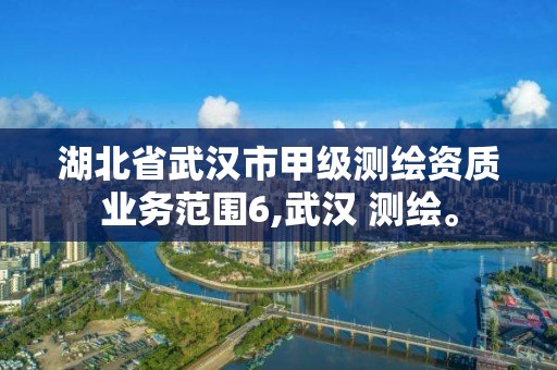 湖北省武汉市甲级测绘资质业务范围6,武汉 测绘。