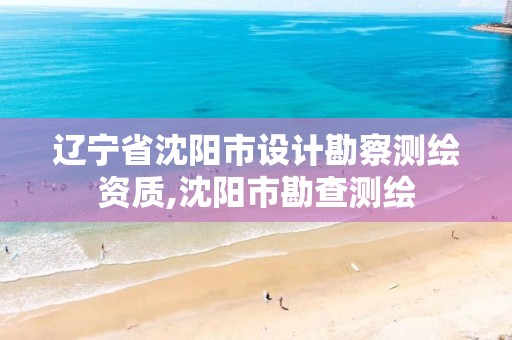 辽宁省沈阳市设计勘察测绘资质,沈阳市勘查测绘