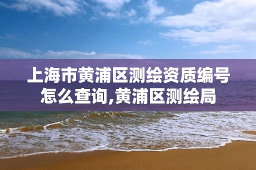 上海市黄浦区测绘资质编号怎么查询,黄浦区测绘局