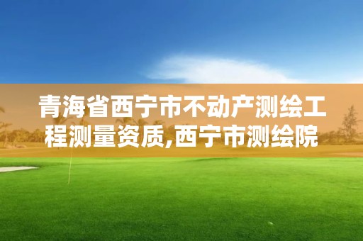 青海省西宁市不动产测绘工程测量资质,西宁市测绘院招聘公示。