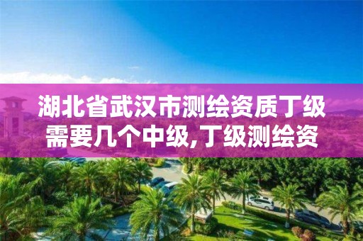 湖北省武汉市测绘资质丁级需要几个中级,丁级测绘资质审批机关是。