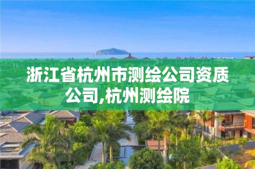 浙江省杭州市测绘公司资质公司,杭州测绘院