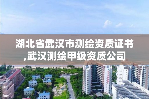 湖北省武汉市测绘资质证书,武汉测绘甲级资质公司