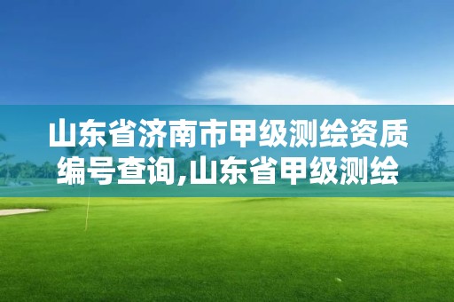 山东省济南市甲级测绘资质编号查询,山东省甲级测绘单位多少家