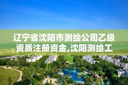 辽宁省沈阳市测绘公司乙级资质注册资金,沈阳测绘工程师招聘。