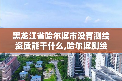 黑龙江省哈尔滨市没有测绘资质能干什么,哈尔滨测绘局位置