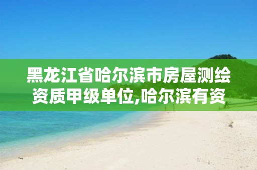 黑龙江省哈尔滨市房屋测绘资质甲级单位,哈尔滨有资质房屋测量公司