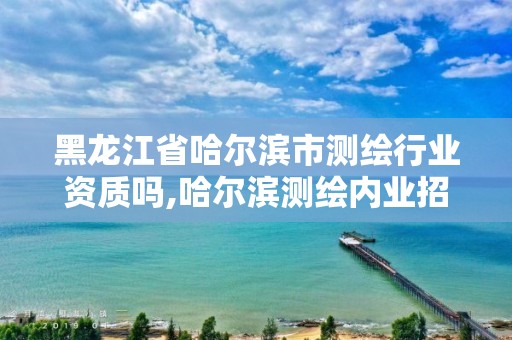 黑龙江省哈尔滨市测绘行业资质吗,哈尔滨测绘内业招聘信息