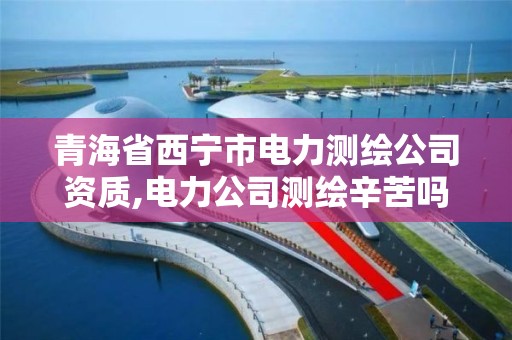 青海省西宁市电力测绘公司资质,电力公司测绘辛苦吗