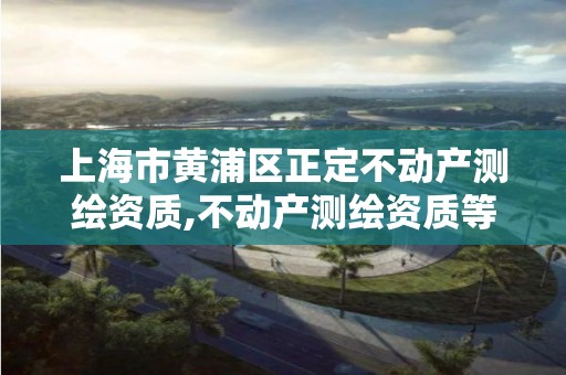 上海市黄浦区正定不动产测绘资质,不动产测绘资质等级