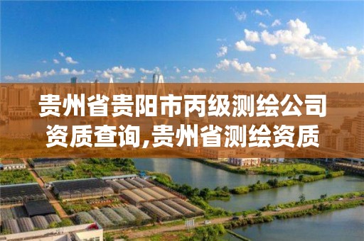 贵州省贵阳市丙级测绘公司资质查询,贵州省测绘资质管理系统