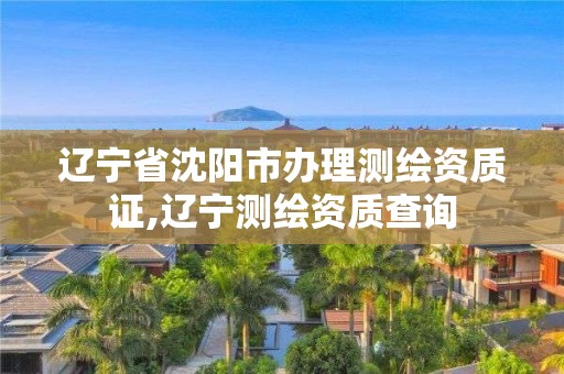 辽宁省沈阳市办理测绘资质证,辽宁测绘资质查询