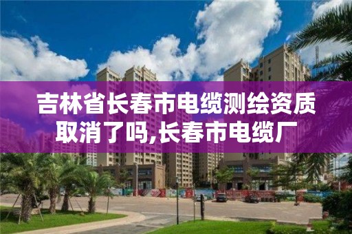 吉林省长春市电缆测绘资质取消了吗,长春市电缆厂