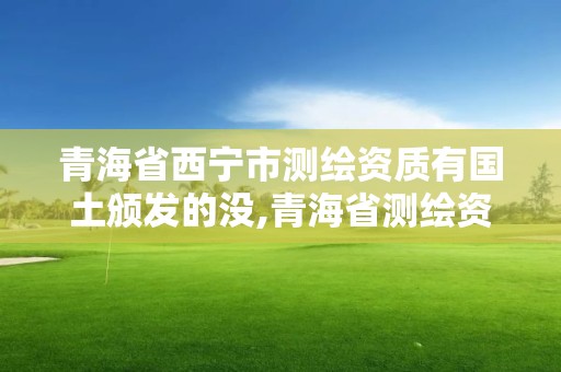 青海省西宁市测绘资质有国土颁发的没,青海省测绘资质延期公告。