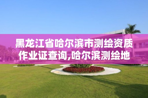 黑龙江省哈尔滨市测绘资质作业证查询,哈尔滨测绘地理信息局