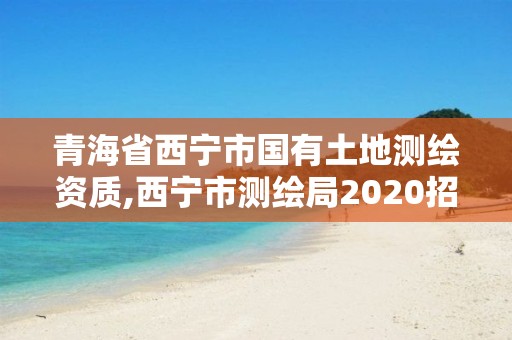 青海省西宁市国有土地测绘资质,西宁市测绘局2020招聘