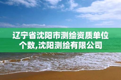 辽宁省沈阳市测绘资质单位个数,沈阳测绘有限公司