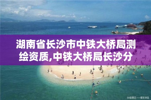 湖南省长沙市中铁大桥局测绘资质,中铁大桥局长沙分公司