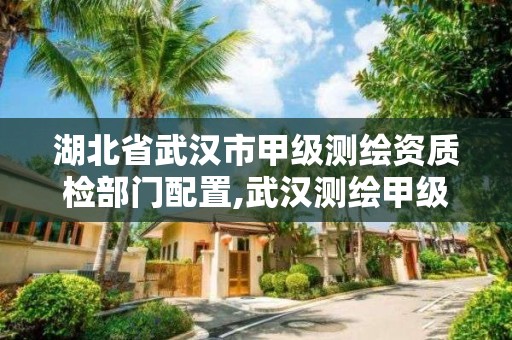 湖北省武汉市甲级测绘资质检部门配置,武汉测绘甲级资质公司。