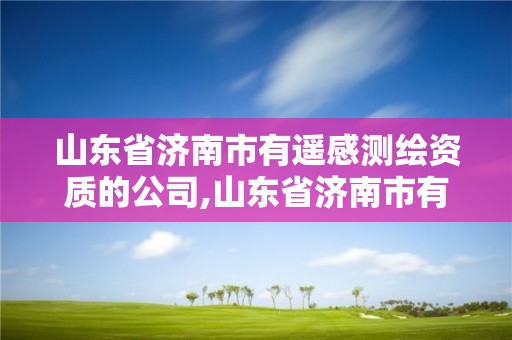 山东省济南市有遥感测绘资质的公司,山东省济南市有遥感测绘资质的公司有几家。