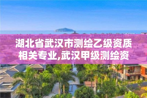 湖北省武汉市测绘乙级资质相关专业,武汉甲级测绘资质名录