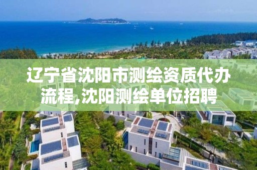 辽宁省沈阳市测绘资质代办流程,沈阳测绘单位招聘