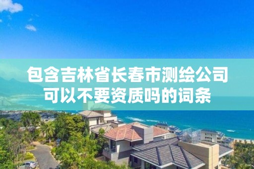 包含吉林省长春市测绘公司可以不要资质吗的词条