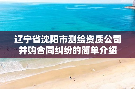 辽宁省沈阳市测绘资质公司并购合同纠纷的简单介绍