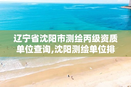 辽宁省沈阳市测绘丙级资质单位查询,沈阳测绘单位排名