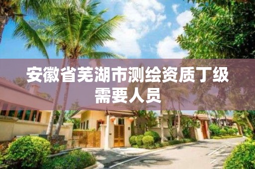 安徽省芜湖市测绘资质丁级需要人员