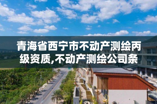 青海省西宁市不动产测绘丙级资质,不动产测绘公司条件。