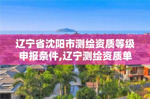 辽宁省沈阳市测绘资质等级申报条件,辽宁测绘资质单位。