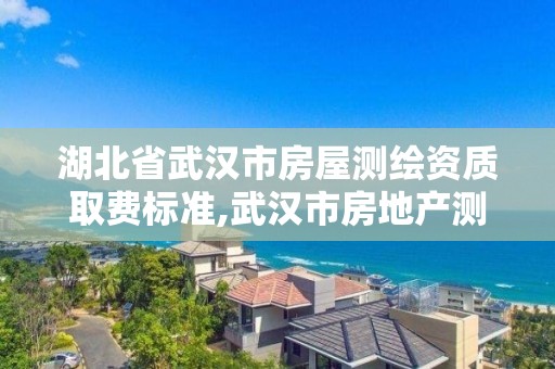 湖北省武汉市房屋测绘资质取费标准,武汉市房地产测绘实施细则