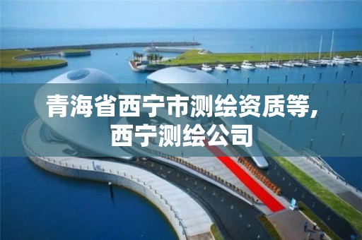 青海省西宁市测绘资质等,西宁测绘公司