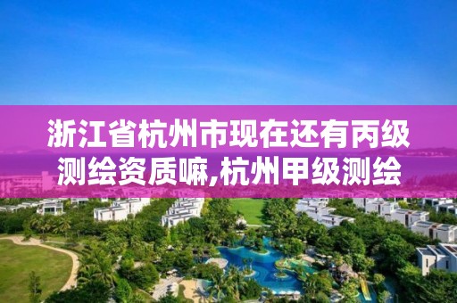 浙江省杭州市现在还有丙级测绘资质嘛,杭州甲级测绘公司有哪些。