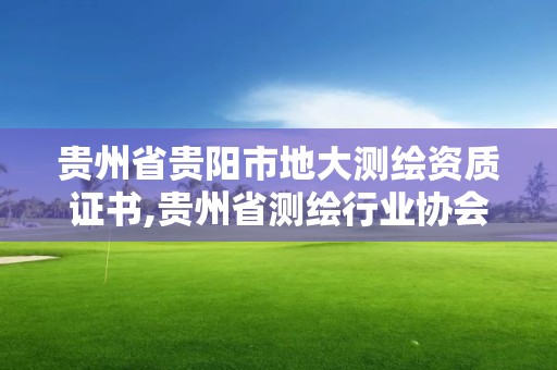 贵州省贵阳市地大测绘资质证书,贵州省测绘行业协会