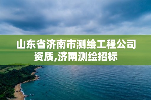 山东省济南市测绘工程公司资质,济南测绘招标