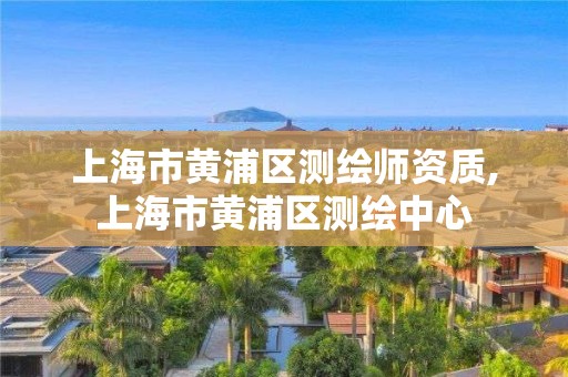 上海市黄浦区测绘师资质,上海市黄浦区测绘中心