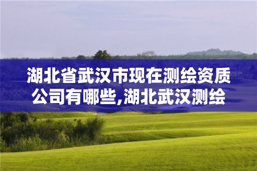 湖北省武汉市现在测绘资质公司有哪些,湖北武汉测绘公司排行榜