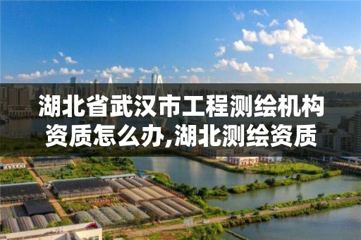 湖北省武汉市工程测绘机构资质怎么办,湖北测绘资质查询。