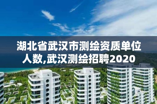 湖北省武汉市测绘资质单位人数,武汉测绘招聘2020