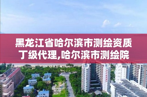 黑龙江省哈尔滨市测绘资质丁级代理,哈尔滨市测绘院