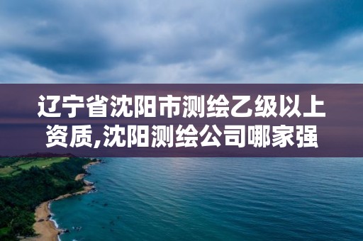 辽宁省沈阳市测绘乙级以上资质,沈阳测绘公司哪家强哪家好