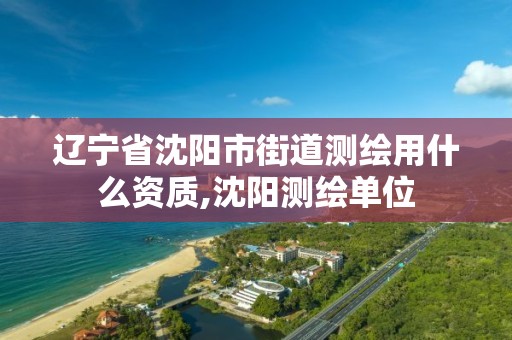 辽宁省沈阳市街道测绘用什么资质,沈阳测绘单位