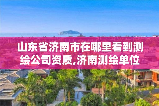 山东省济南市在哪里看到测绘公司资质,济南测绘单位 山东省济南市在哪里看到测绘公司资质,济南测绘单位
