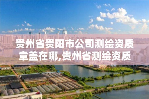 贵州省贵阳市公司测绘资质章盖在哪,贵州省测绘资质管理规定