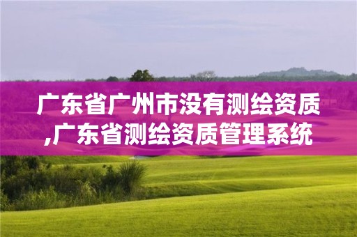 广东省广州市没有测绘资质,广东省测绘资质管理系统